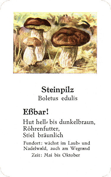 Spielkarte