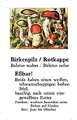 Spielkarte