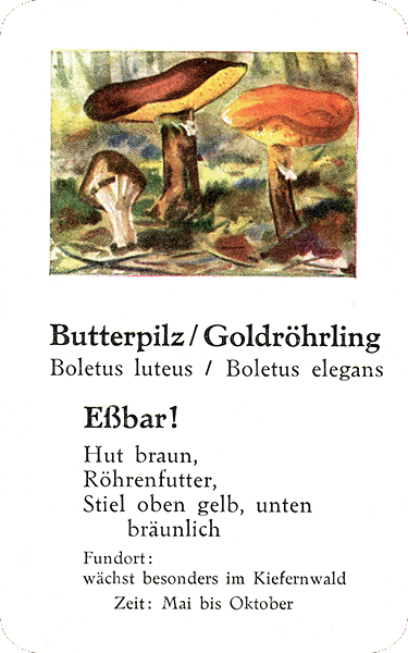 Spielkarte
