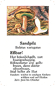 Spielkarte
