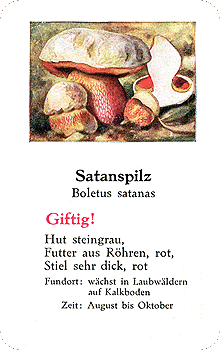 Spielkarte