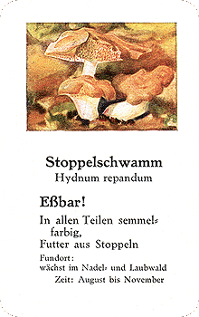 Spielkarte