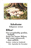 Spielkarte
