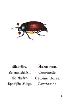Spielkarte