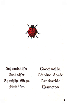 Spielkarte