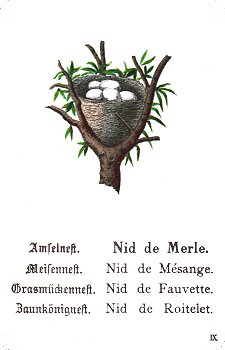 Spielkarte