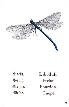 Spielkarte