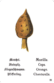 Spielkarte