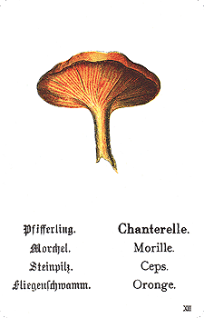 Spielkarte