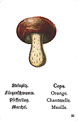 Spielkarte