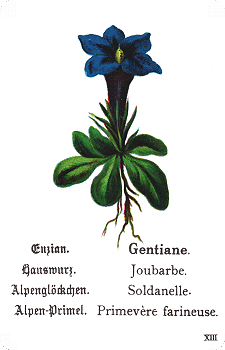 Spielkarte