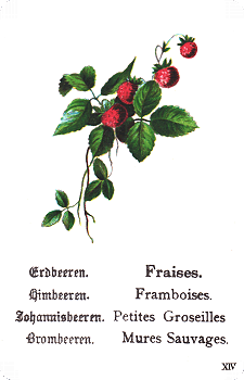 Spielkarte
