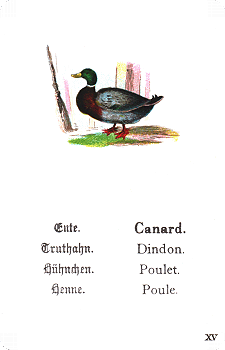 Spielkarte