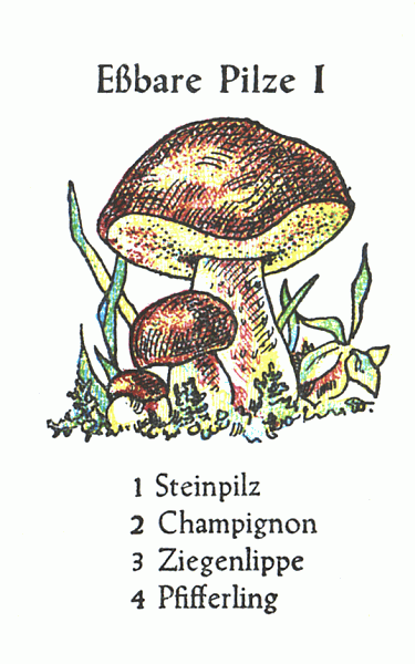Spielkarte