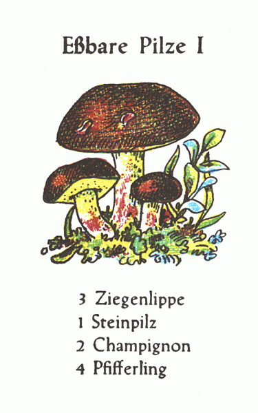 Spielkarte