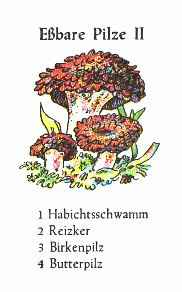 Spielkarte