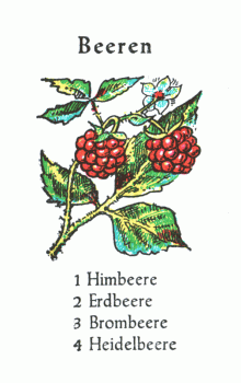 Spielkarte