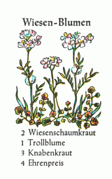 Spielkarte