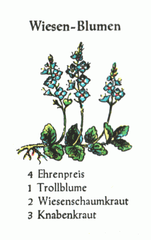 Spielkarte