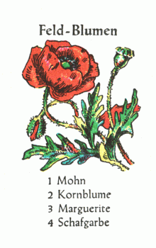 Spielkarte