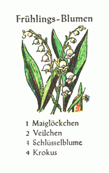 Spielkarte