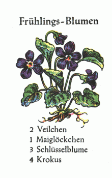 Spielkarte