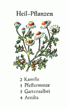 Spielkarte
