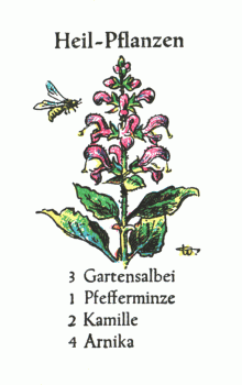 Spielkarte