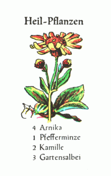 Spielkarte