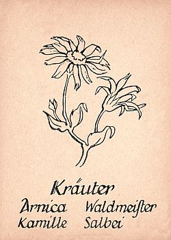Spielkarte