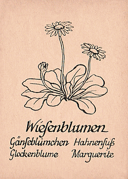 Spielkarte