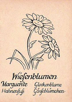 Spielkarte