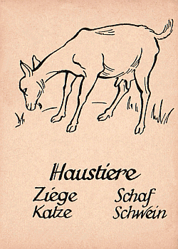 Spielkarte