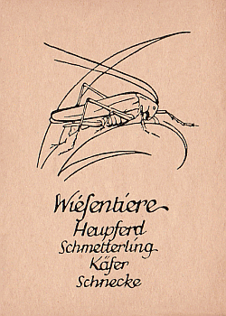 Spielkarte