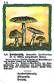Spielkarte