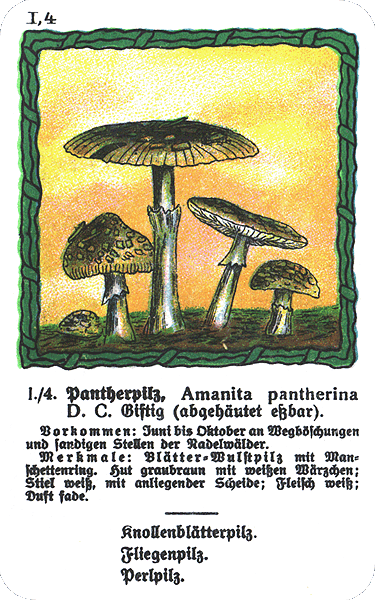 Spielkarte