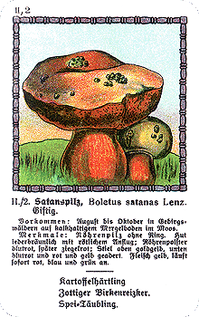 Spielkarte