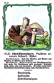 Spielkarte