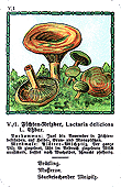 Spielkarte