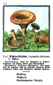 Spielkarte