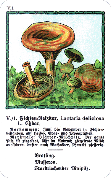 Spielkarte