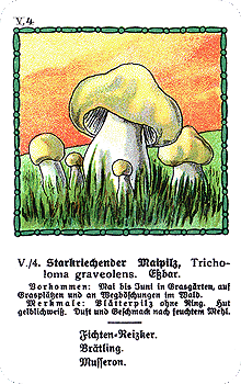 Spielkarte