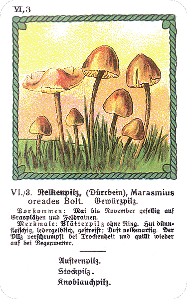 Spielkarte