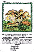 Spielkarte