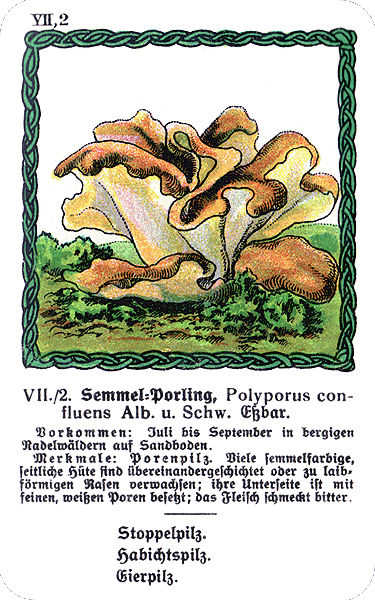 Spielkarte