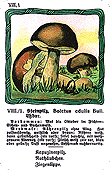 Spielkarte