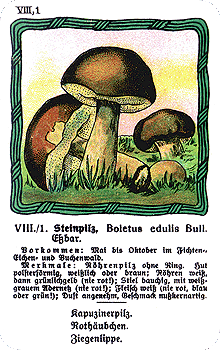 Spielkarte