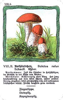 Spielkarte