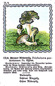 Spielkarte