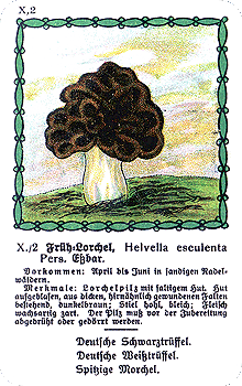 Spielkarte